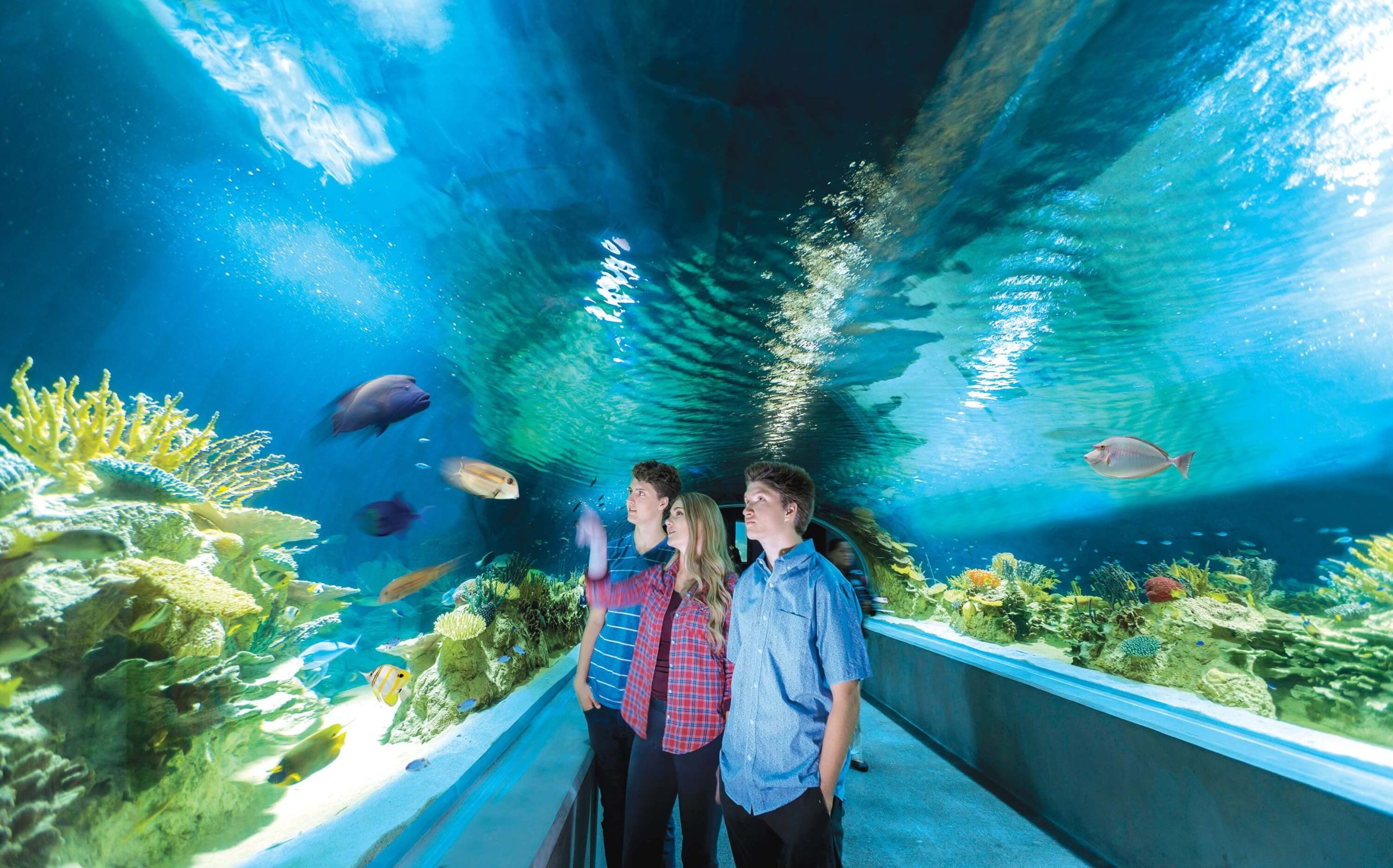 Young visitors enjoy the aquarium in Salt River, a popular activity for friends and families.