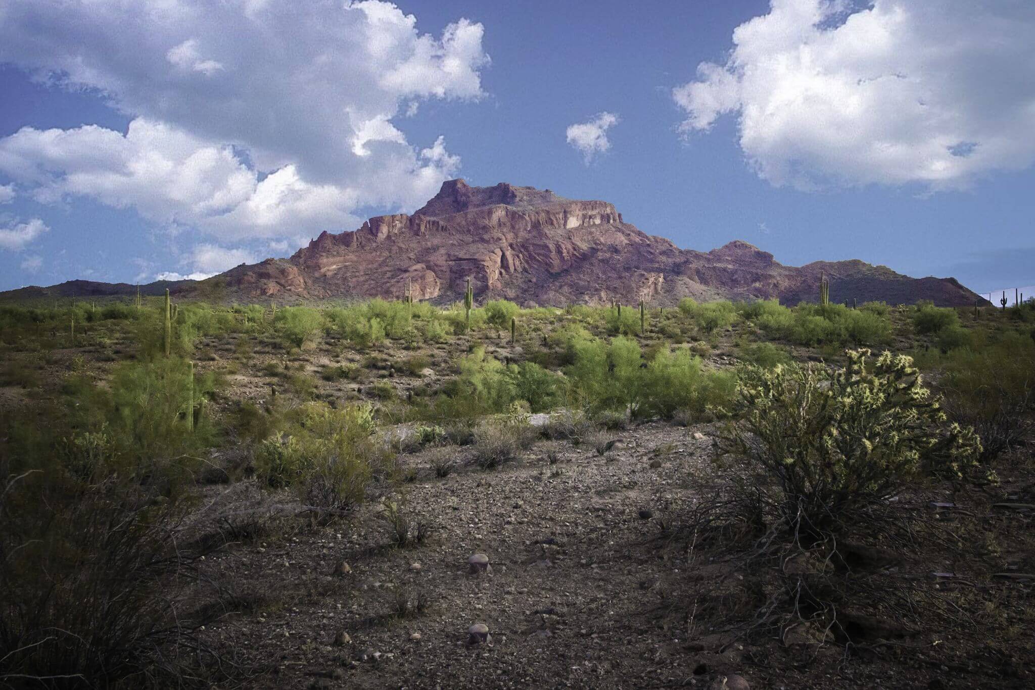 Learn More About Salt River Pima Maricopa Indian Community